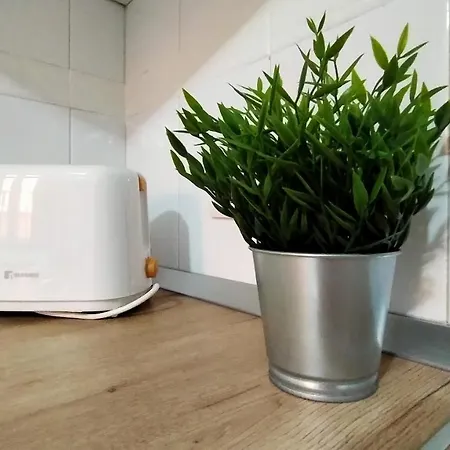 La Casita 4* アロナ